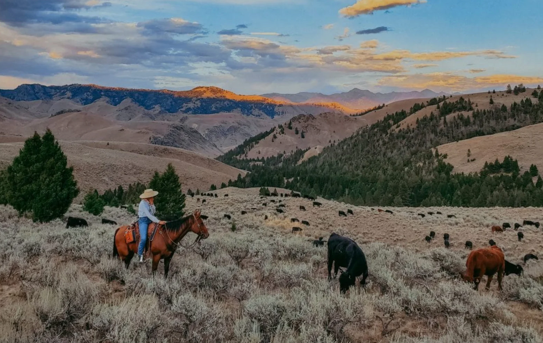 Buying Grass-Fed Steaks Online? Men’s Journal Says E3 Meat Co.’s are Meaty, Marbled, and More Nutritious